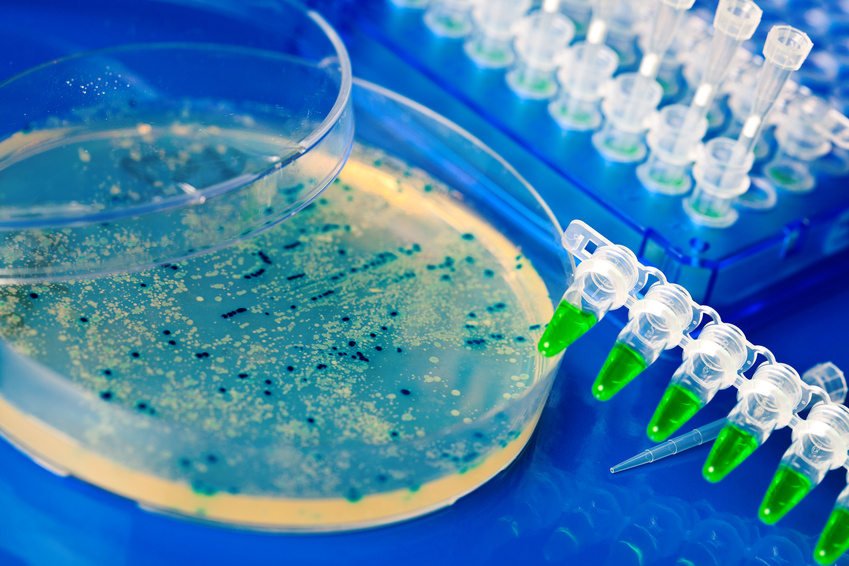 Standard Microbiome Test CP Smart Nutrition